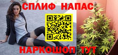 крисы Белореченск