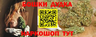 крисы Белореченск