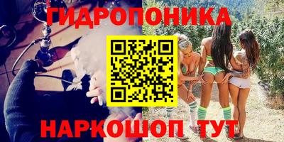 мет Бердск