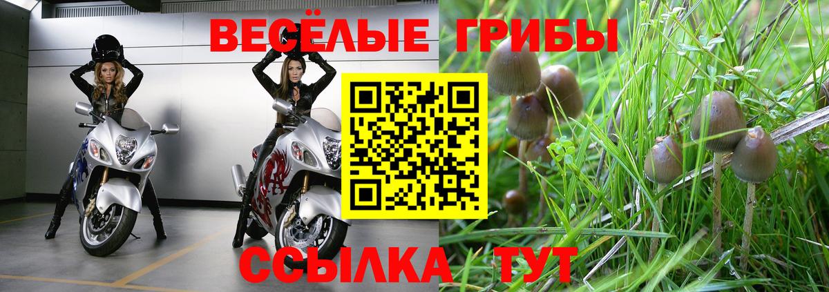 Зерноград  Галлюциногенные грибы MAGIC MUSHROOMS  Вход с VPN  Псилоцибиновые грибы Psilocybine cubensis 